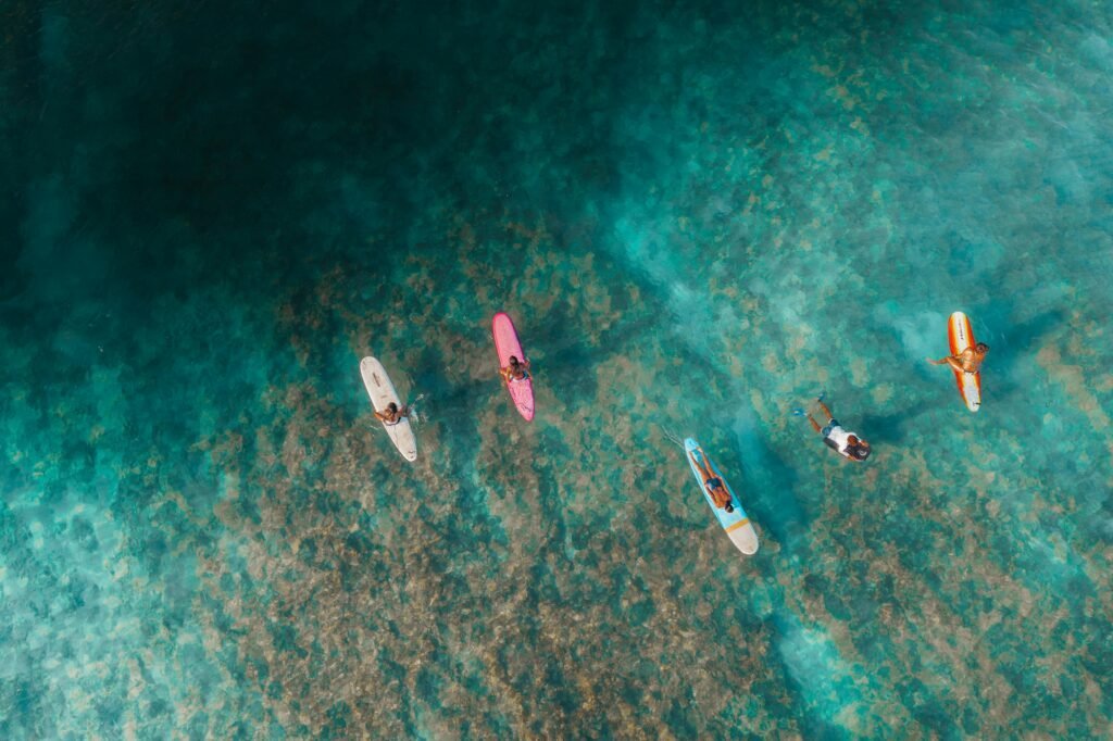 image Best Stand Up Paddleboards of 2024