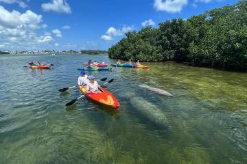 kayak-1 The 5 Best Activities to Paddling Spot in USA | Top Review Place in Google Maps